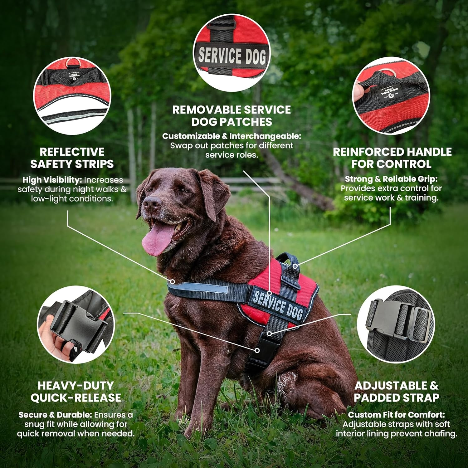 Emotional Support Vest Harness with Hook, Loop Straps and Handle, 2 Reflective Emotional Support Self-Adhesive Straps, Detachable, ESA Matching Leash Set, Dog Accessories, XXS, Red
