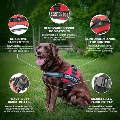 Emotional Support Vest Harness with Hook, Loop Straps and Handle, 2 Reflective Emotional Support Self-Adhesive Straps, Detachable, ESA Matching Leash Set, Dog Accessories, XXS, Red